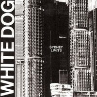Locked Out - White Dog