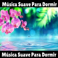 La Lluvia Está Cayendo - Musica Para Meditar