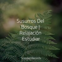 Sonidos De Claridad - Dormir Mucho & Musica Relajante Piano Master & Unidad de música zen relajante