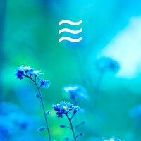 Recreative Simple Shushers - Simple Lowly Soughs