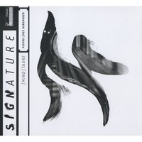 Mirror - Pierre-Yves Berenguer