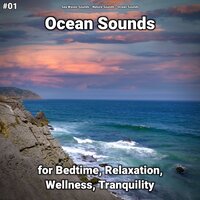 Ocean Sounds Pt. 66 - Sea Waves Sounds & Nature Sounds & Ocean Sounds