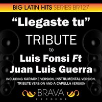 Llegaste Tu (In The Style Of Luis Fonsi Ft Juan Luis Guerra) - Brava HitMakers