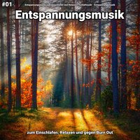 Entspannungsmusik pt. 55 - Entspannungsmusik zum Einschlafen und Relaxen & Schlafmusik & Entspannungsmusik