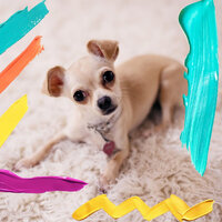 Background for Doggy Rest - Relax My Dog Music