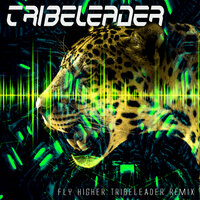 Fly Higher - Sekten7 & Tribeleader