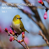 Early Morning - Binaural Beats Relaxation & All Night Sleeping Songs to Help You Relax & Relaxing Piano