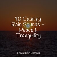 Gentle Campfire - Pink Noise & Binaural Creations & Rest & Relax Nature Sounds