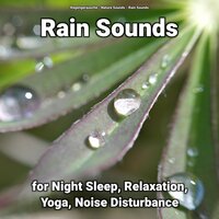 Harmonious Asmr Rain Sounds - Nature Sounds & Rain Sounds & Regengeräusche