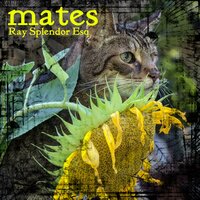in spades - MATES
