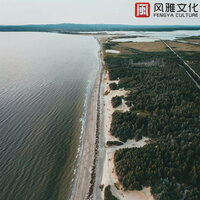 慵懒的猫与相框 -钢琴 - 轻松音乐