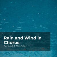 Rain With Hurricane - Rain Sounds & White Noise & Raindrops Sleep & Sleep Rain