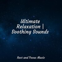 Sleepy Sweetness - Ambient Music Therapy & Relaxamento & Namaste Healing Yoga