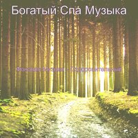 Моменты (спа) - Богатый Спа Музыка