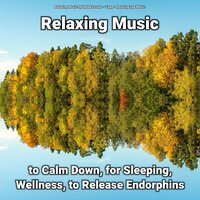 Relaxing Music Pt. 23 - Relaxing Spa Music & Yoga & Relaxing Music by Malek Lovato