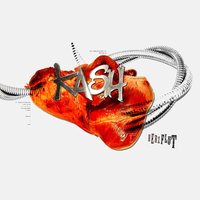 Erlkönig - Kash