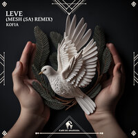 Leve - KOFIA & Cafe De Anatolia & MESH (SA)