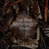 Haze of the Days - Sleepy Times & Música De Relajación Para Dormir Profundamente & Organic Nature Sounds