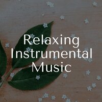 Relaxing Sounds - Relaxing Music Orchestra