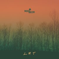 LMT - Moosa Saleem