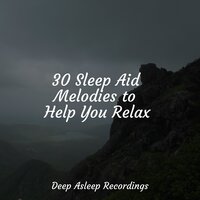 Emerald Forest - Shakuhachi Sakano & Music to Relax in Free Time & Buddhist Meditation Music Set