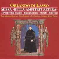 Penitential Psalms No. 4 für Chor und Ensemble, "Miserere mei Deus": V. Gloria Patri - Pro Cantione Antiqua & Hamburger Bläserkreis für alte Musik & Bruno Turner & Орландо ди Лассо
