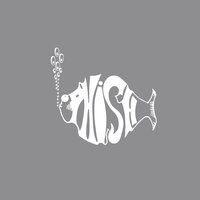 And So To Bed - Phish
