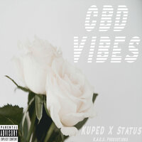 Facts - Status & KUPED