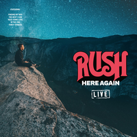 Bad Boy - Rush