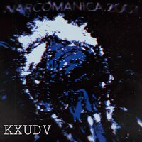 VEGI PLATE - KXUDV