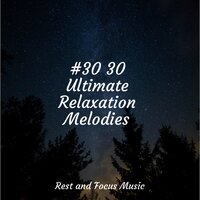 Dreamy Clouds - Meditação Yoga & Kings of Nature & Música para Massagem Especialistas