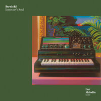 Introvert's Soul - Streichl & Bar Melodia