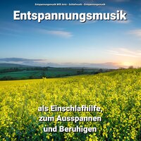 Komposition zum Träumen - Entspannungsmusik Willi Antz & Schlafmusik & Entspannungsmusik