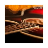 Evening Euphoria - Smooth Guitar Zone