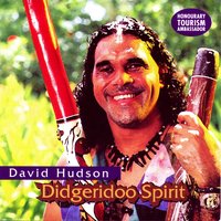 Rainforest Wonder - David Hudson