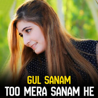 Too Mera Sanam He - Gul Sanam