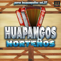 Tonto Mi Corazon - Huapangos Norteños & Los Mejores Huapangos Norteños