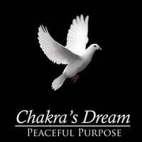 Contemplation - Chakra's Dream