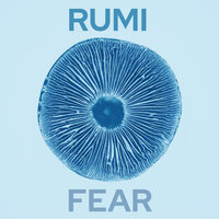 Fear - Rumi