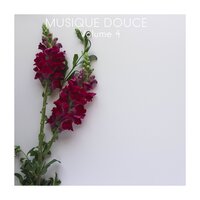 Moonlight - Musique Zen Garden & Sophrologie & Berceuses