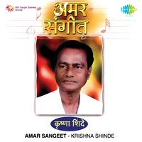 Dhadla Navhat Kadhi Bharatmadhi - Krishna Shinde