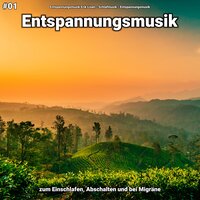 Entspannungsmusik pt. 57 - Entspannungsmusik Erik Lisen & Schlafmusik & Entspannungsmusik