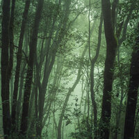 Fondo Para La Belleza - Meditação Maestro & Musica Relajante Para Estudiar & Música Relajante para Bebés