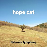 first baby - Nature's Symphony