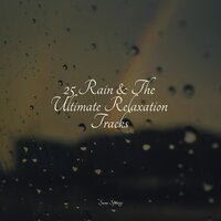 Rainy, Stormy Night - Tinnitus & White Noise for Deeper Sleep & Nursery Rhymes