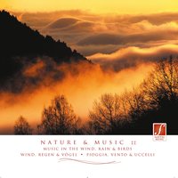 Blackbirds In Rain & Forest Pathway - Santec Music Orchestra