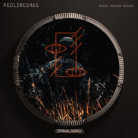 Realize and Understand - redline346S