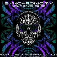 Worm Hole - SYNCHRONICITY