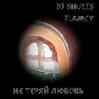 Не теряй любовь - Dj Shulis & Flamey & Dj Zigle