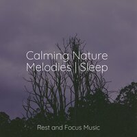 Ambient Music for Sleeping - Relax Meditation Sleep & Tinnitus & Binaural Beats Isochronic Tones Lab